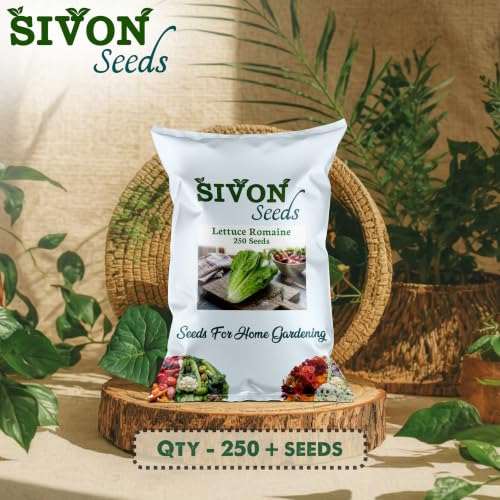 Image of SIVON Lettuce Romaine (250 Seeds) Exotic Vegetable Seeds for Home Garden, Organic & Hybrid, Perfect for Home Gardening, Planting For Pots and Patio