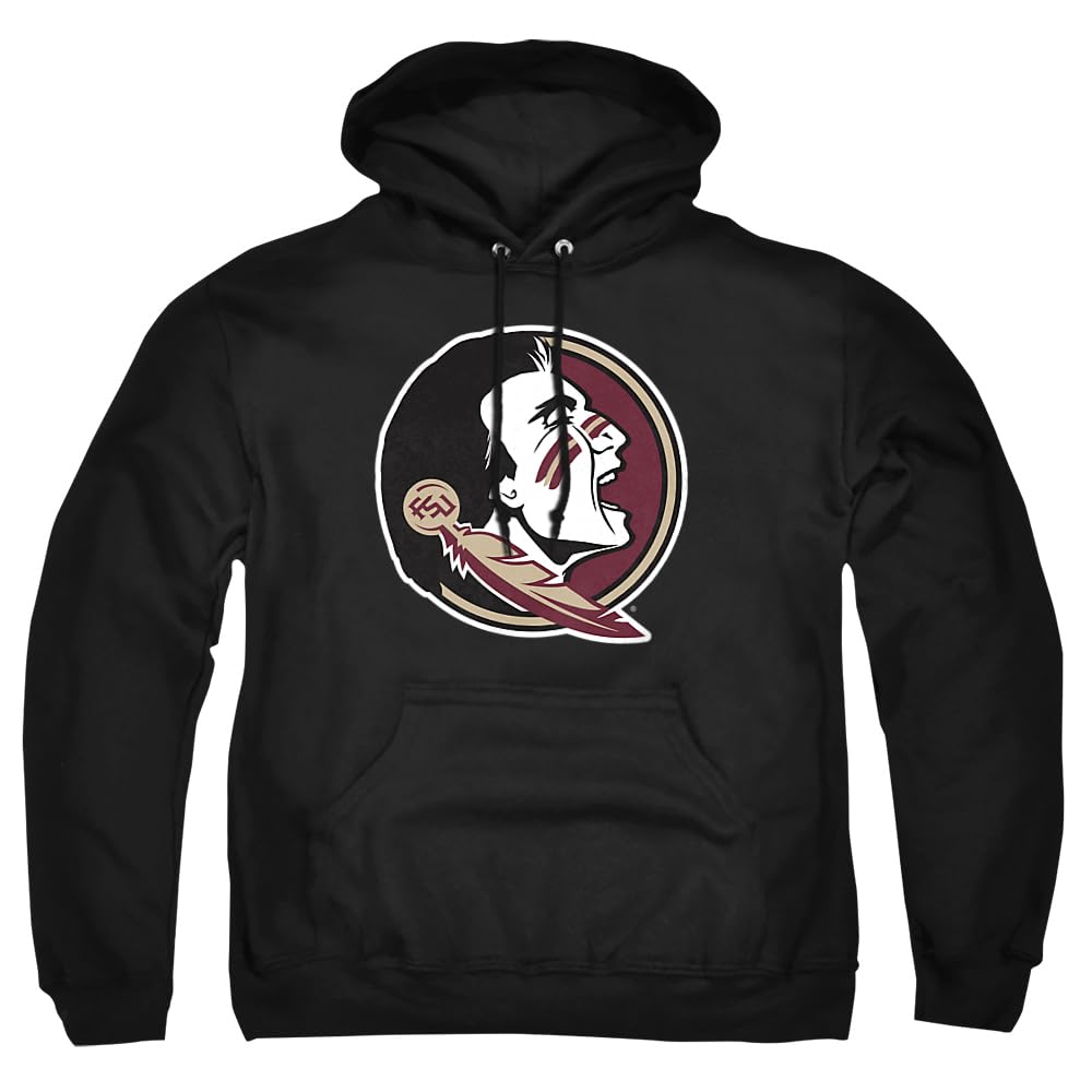 LOGOVISION Official Collegiate Distressed Primary Logo Adult Pullover Hoodie Collection — view 154