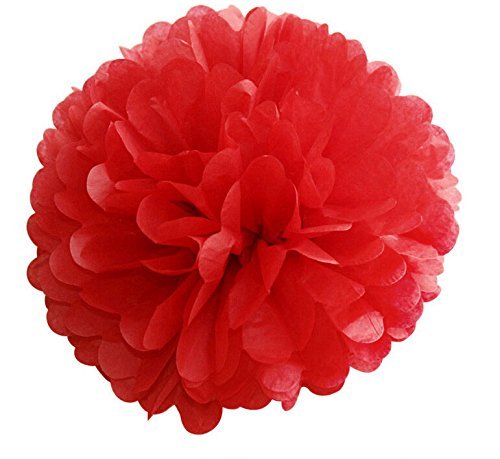 Fascola Tissue Paper Pom Pom Flowers and Paper Lanterns Party Decoration, 14 Pieces