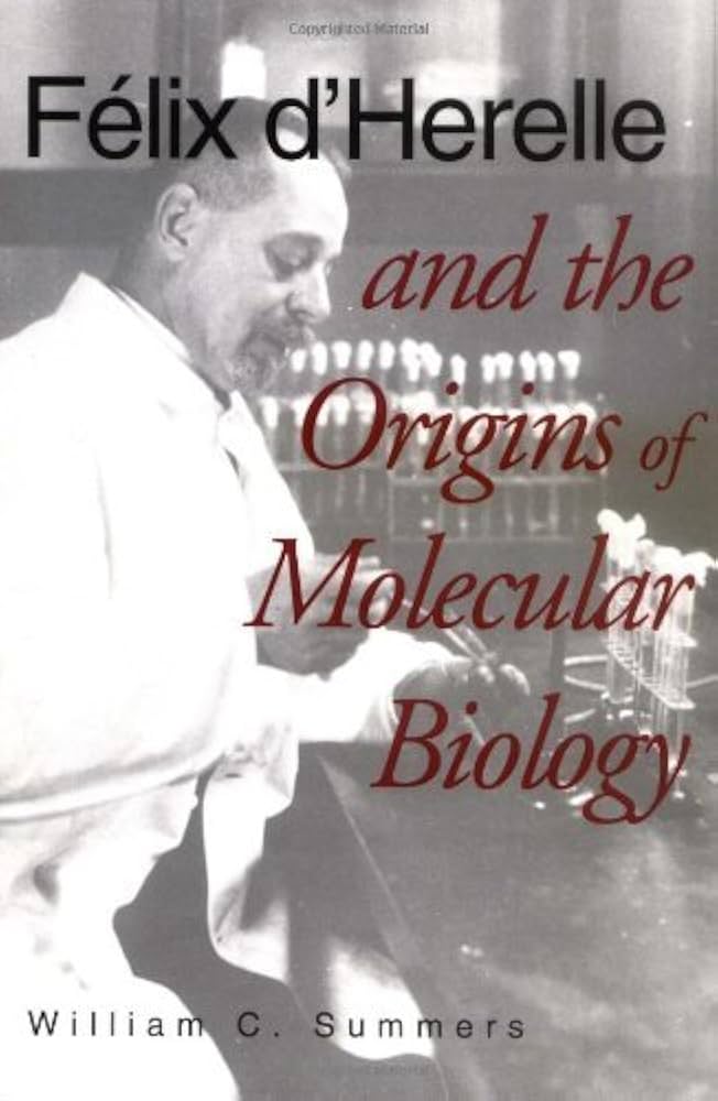 image not described image