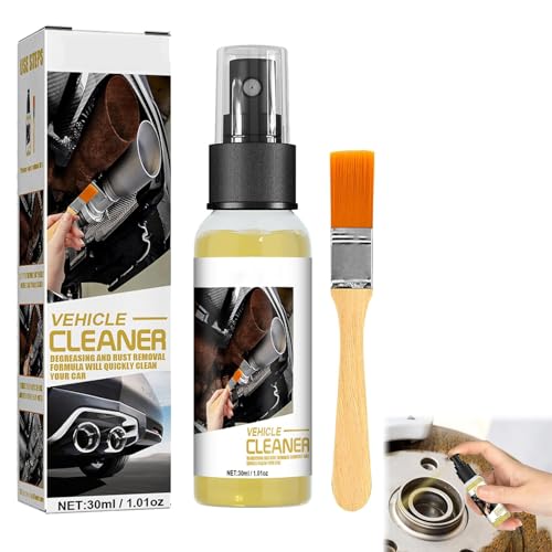 Spray Convertidor de Óxido, Spray de Eliminación de Óxido, Car Rust Remover Spray, Quita Oxido Metal, para Metal/Bicicleta/Coche/Cadena de Bicicleta,30ml
