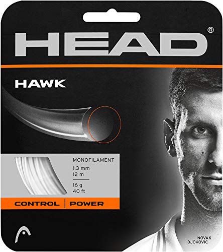 HEAD Hawk Tennis Racket String 40' Set - 17 Gauge Monofilament Racquet String, Grey