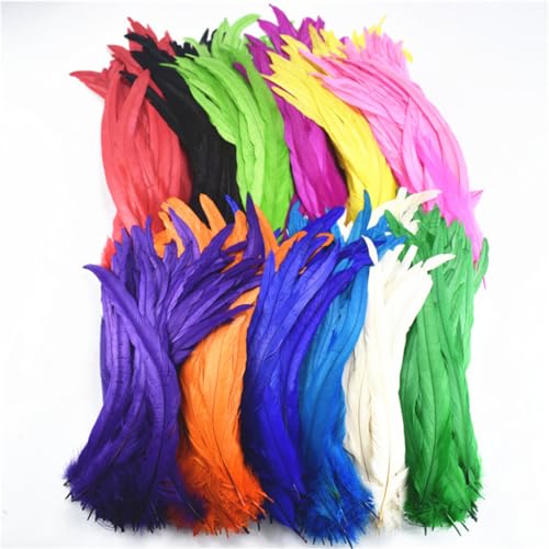 50 plumas de gallo naturales para manualidades, plumas de cola de gallo, plumas de faisán, plumas de decoración, 25 – 30 cm, colores surtidos