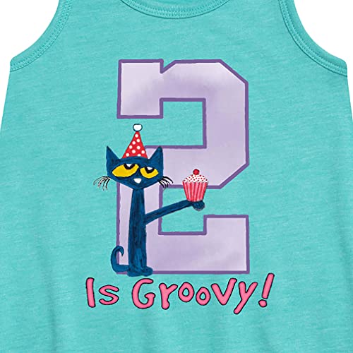Pete the Cat - 2nd Birthday Girls - Toddler and Youth Girls A-line Dress - Size 3T2