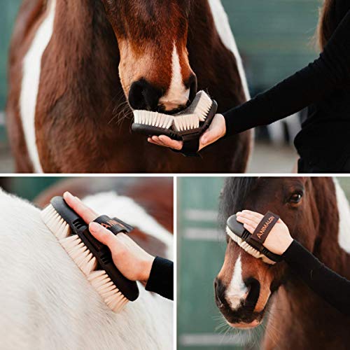Animalon CareFlex Glanzbürste | Flexible & hochwertige Pferde-Schmuse-Bürste mit Ziegenhaar | weiche Bürste für Pferde | Kopfbürste | Glanzbürste-Pferd mit Klettverschluss | Putzzeug | Kardätsche