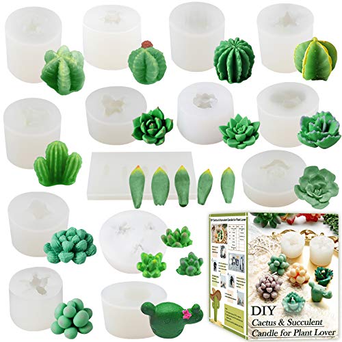 Funshowcase Cactus And Succulent Plant Silicone Molds Set For Epoxy Resin Soap Candle Wax Polymer Clay Concrete Plaster Fondant Cake Decor Chocolate With Beginner Tutorials #TOP6