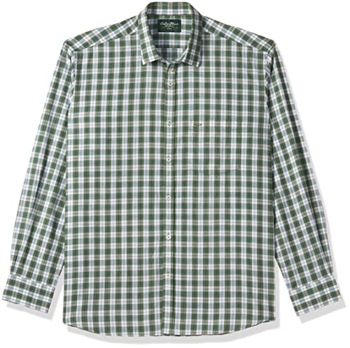 Image of Colorplus Men's Pure Cotton Checks Pattern Tailored Fit Spread Collar Full Sleeve Casual Shirt