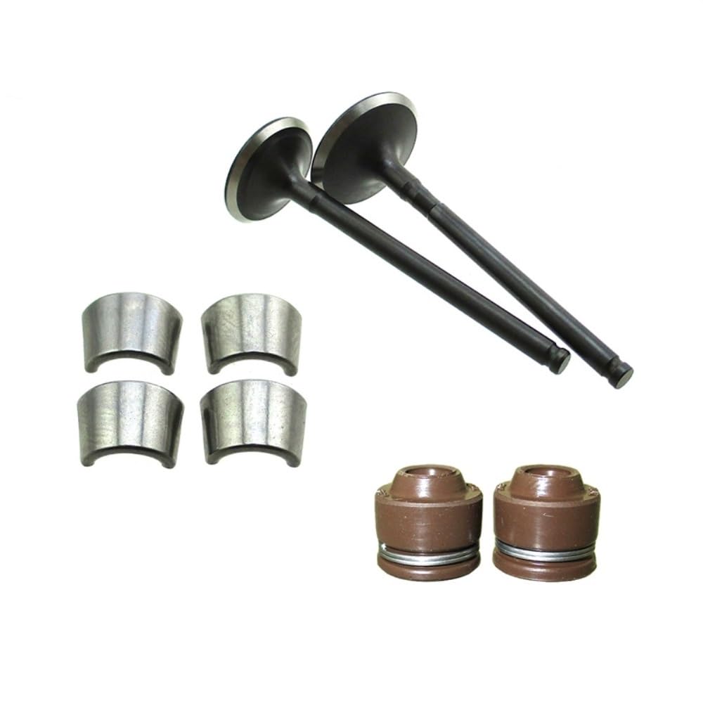 Cnljphfho One Color Intake Exhaust Valves Stems Seals Fit For Zongshen Z190 190Cc Zs1p62yml-2 2V Pit Dirt Bike Engine Parts