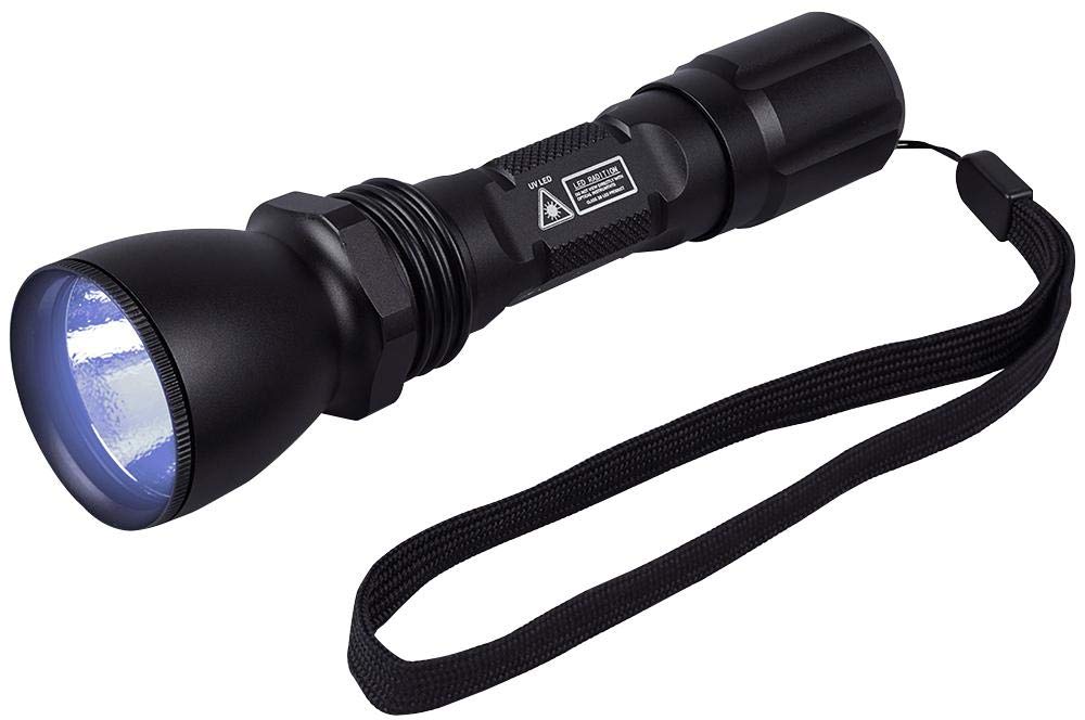 Recherche Extérieure Avec La Lampe-torche La Nuit Image stock - Image