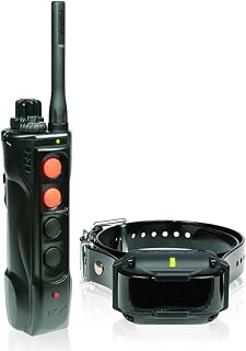 Dogtra Edge RT Trainer