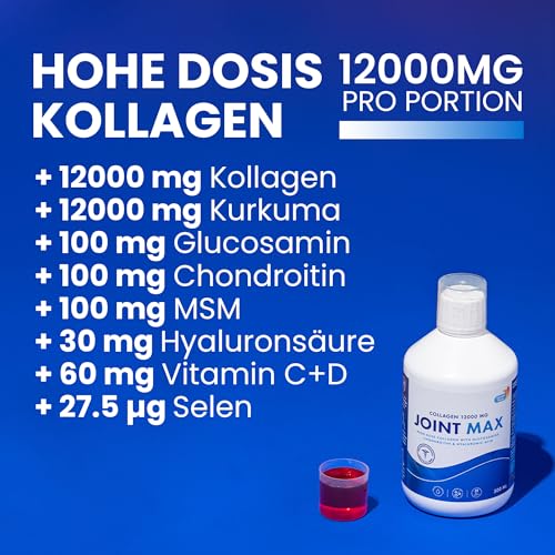 Joint MAX 500ml I Reines hydrolysiertes Kollagen (Typ I, II & III) I Glucosamin, MSM, Chondroitin, Hyaluronsäure I Kurkuma, Vitamin C, I 100% natürlicher Geschmack I Zuckerfrei - 20 Tage Vorrat