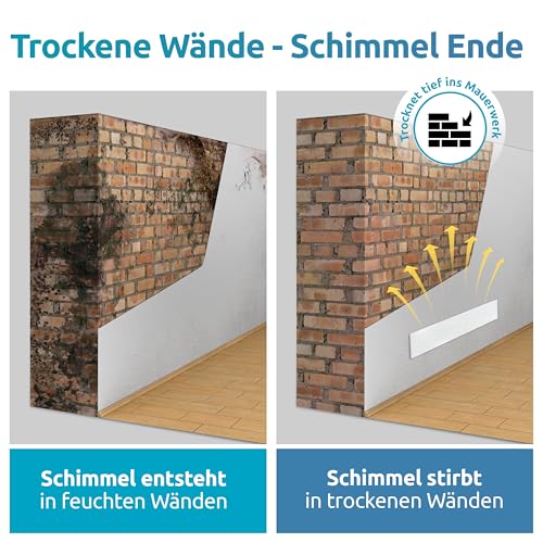 ELIAS Schimmel Dry - Schimmelentferner Wand & Bad -ohne Chemie für immer Schimmelfrei - Die Alternative zum Schimmelspray und zur Schimmelfarbe innen Weiß - Anti Schimmel jeden Raum