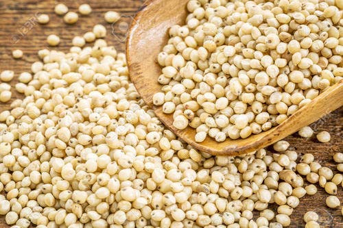 Farmbean Whole White Jowar Grains | Sorghum | Jonna | - 1 KG - Image 6 thumbnail