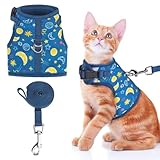 Picture of BINGPET Cat Harness with Leash Escape Proof - Fashionable Mesh Cat Dog Walking Harness Leads, Adjustable for Kitties Puppies Small Animals,Galaxy,L