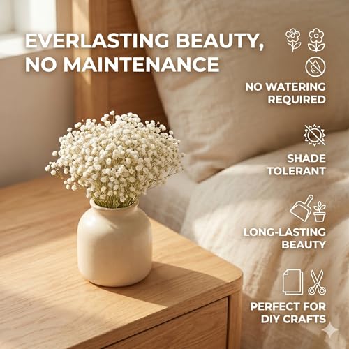 VINEST Schleierkraut Künstlich Trockenblumen zum Basteln: 100 Stück Schleierkraut Getrocknet Natürliche Getrocknete Blüten Mini Trockenblumen Deko Trocken Blumen für DIY Fotorahmen (Grüner Stängel)