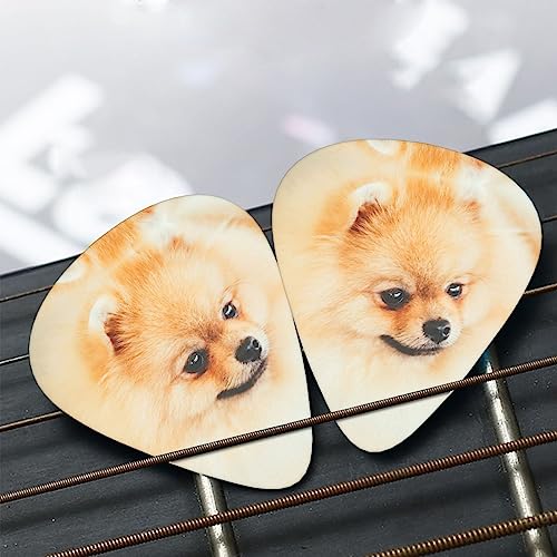 Lot de 12 médiators jaunes de Poméranie avec boîte pour ukulélé guitare électrique basse - Les Beatles, Paul McCartney, John Lennon, RIngo Starr, George Harrison Lot de 12 médiators jaunes de Poméranie avec boîte pour ukulélé guitare électrique basse – Image 8