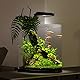 Tetra Explorer Line 60 L Aquarium Komplett-Set - Design Aquarium mit gebogener Frontscheibe, LED-Beleuchtung, Technik, Futter und Pflegemitteln, Farbe: Schwarz