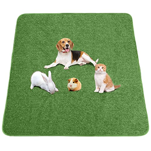 Washable Pee Pads for Dogs 65″x45″/72″x72″ Extra Large Reusable Pee Pads Waterproof Pet Mat, Dog Playpen Mats for Puppy Training Whelping Playpen Pads Washable Pee Pads for Dogs 65″x45″/72″x72″ Extra Large Reusable Pee Pads Waterproof Pet Mat, Dog Playpen Mats for Puppy Training Whelping Playpen Pads