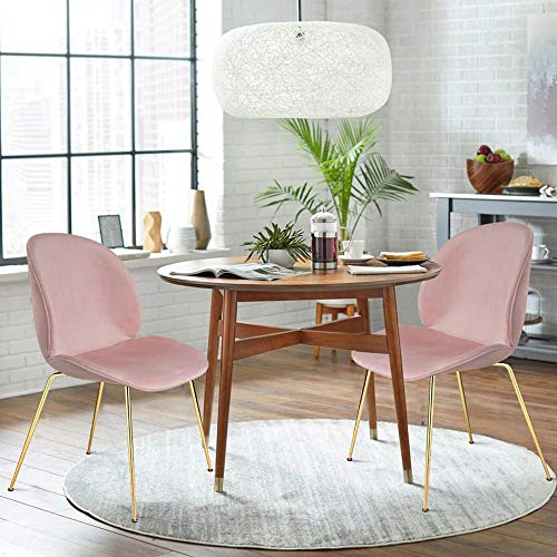 Gia Contemporary Dining Chair With Velvet Upholstery, Qty Of 2, Pink #TOP7