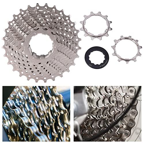 Dilwe Casete de Rueda Libre de Bicicleta de Acero de Alta Presión de 11-28T para el 8/9/10/11 Rotación de Cadena Lisa de Velocidad para los Entusiastas del Ciclismo (10S 11-28T)