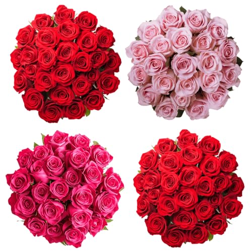 GlobalRose 100 Red & Assorted Roses Bouquet - Responsibly Sourced Roses Fresh Flowers - Flowers Fresh Bouquet for Graduation Anniversary Birthday & Special Occasions (50 Red & 50 Assorted Stems)
