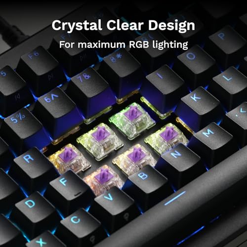 Image of GLORIOUS Mako Tactile Mechanical Switches (110 Pack)