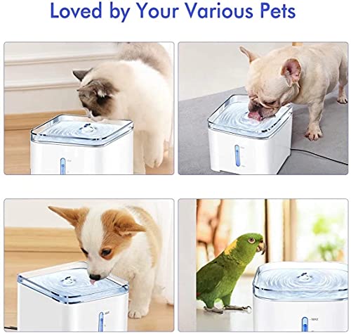 Giomoc Cat Water Fountain, 2L Automatic Dog Water Dispenser Electric Water Drinking Fountain with 2 Replacement Filters… - Image 7