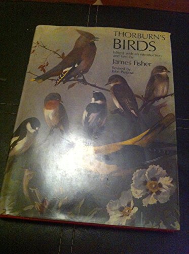 Thorburn's Birds view 2