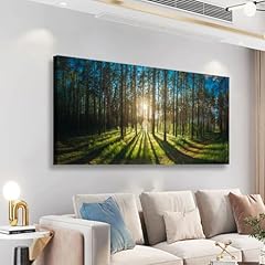 Sunrise Green Forest