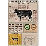 peiyeety Wissenswertes über Rinderrassen – Retro-Poster 