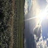 happy heavenly birthday my brother