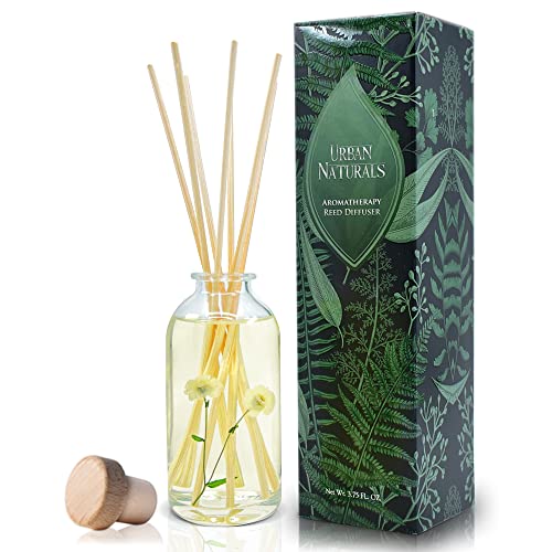 Top 10 Best Non Toxic Reed Diffusers Reviews & Buying Guide Katynel
