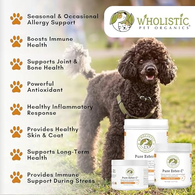 Wholistic Pet Organics Pure Ester-C Powder for Dogs - 2 Oz - Healthy Alternative to Dog Allergy Chews - Vitamin C Supplement for Dog Allergy Relief, Immune Support, Itch Relief for Dogs - Made in USA-t3Ag3LBd