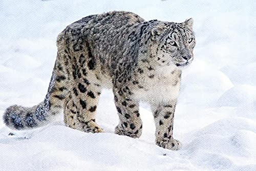 Cross Stitch Kits Beginner Adult Kids Stamped Cross Stitch Kits with Pattern Funny Snow Leopard DIY 11 ct Pre-Printed Fabric Embroidery Crafts Needlework Kits Arts Decor Gift -16×20inch