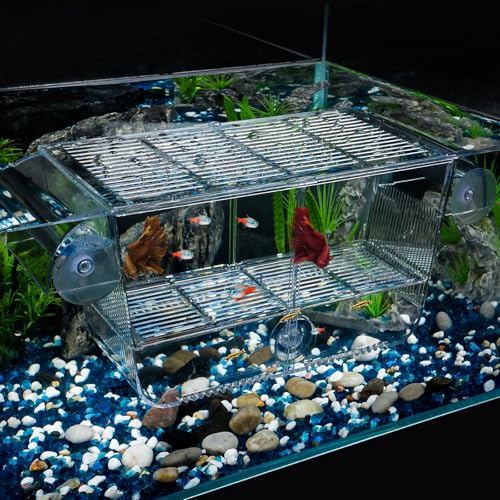 Pawfly Incubateur Aquarium Acrylique pour Bébés Poissons Crevettes Betta, Grande Boîte d'Acclimatation pour Poissons Agressifs Guppy Platy