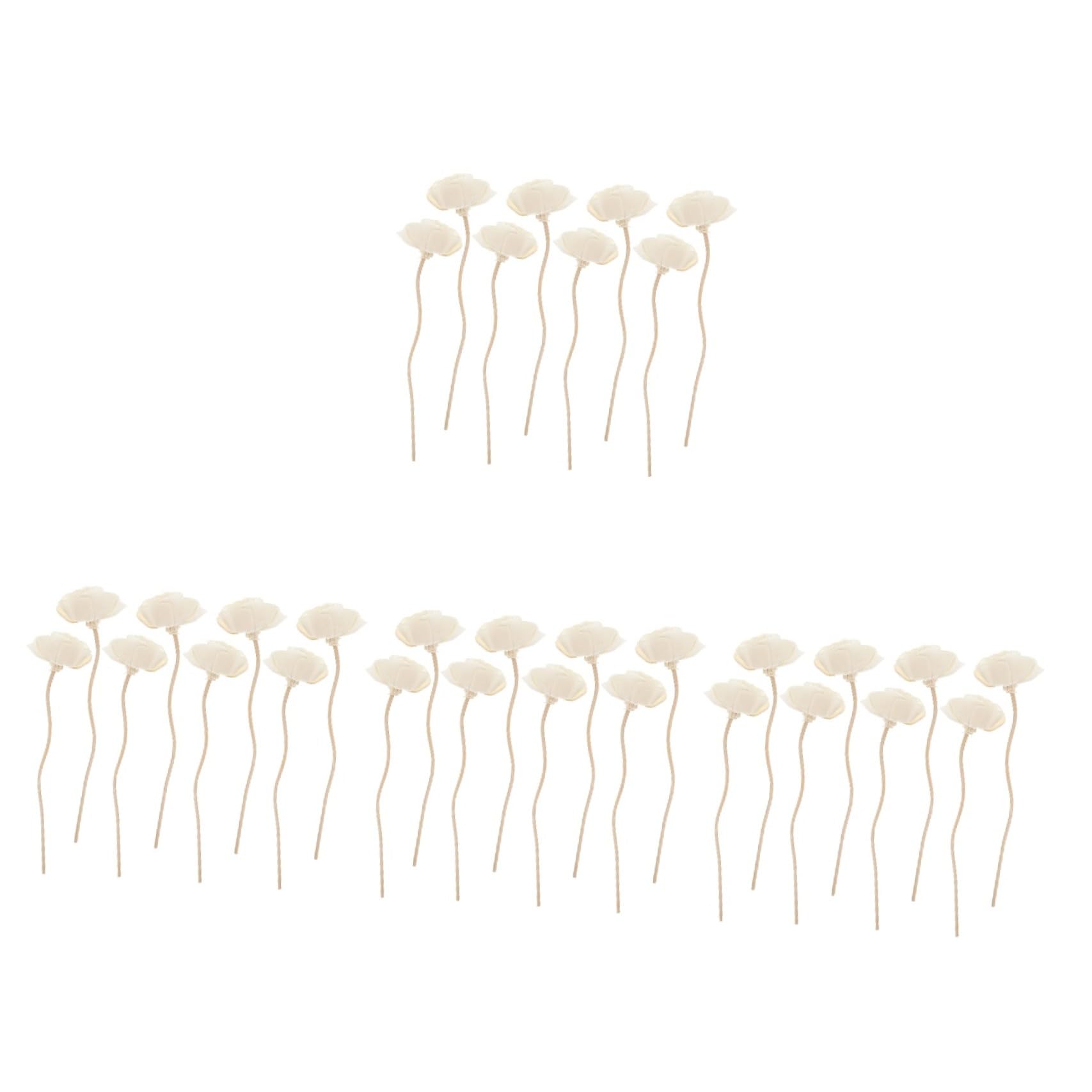 Alipis 32 STK Tong-Gras- Stick Mit Ätherischen Ölen Diffusor-Sticks Rein Nebel Duftdiffusor Für Zu Hause Stick-diffusor Duftdiffusoröl Aromatherapie Pflege Topper Flüssig Rattan Weiß