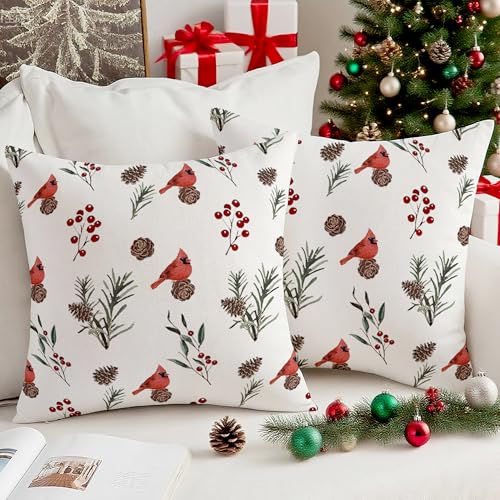 Vorysum Kardinal Winter Weihnachten Kissenbezug 40x40 cm 2er Set Samt...