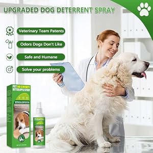 Cooraby 5.07 Oz Bitter Apple Spray for Dogs to Stop Chewing - Natural Ingredients No Chew Spray for Dogs - Dog Repellent Spray - Alcohol Free, Cruelty-Free - Protect Your Furniture Cooraby 5.07 Oz Bitter Apple Spray for Dogs to Stop Chewing – Natural Ingredients No Chew Spray for Dogs – Dog Repellent Spray – Alcohol Free, Cruelty-Free – Protect Your Furniture