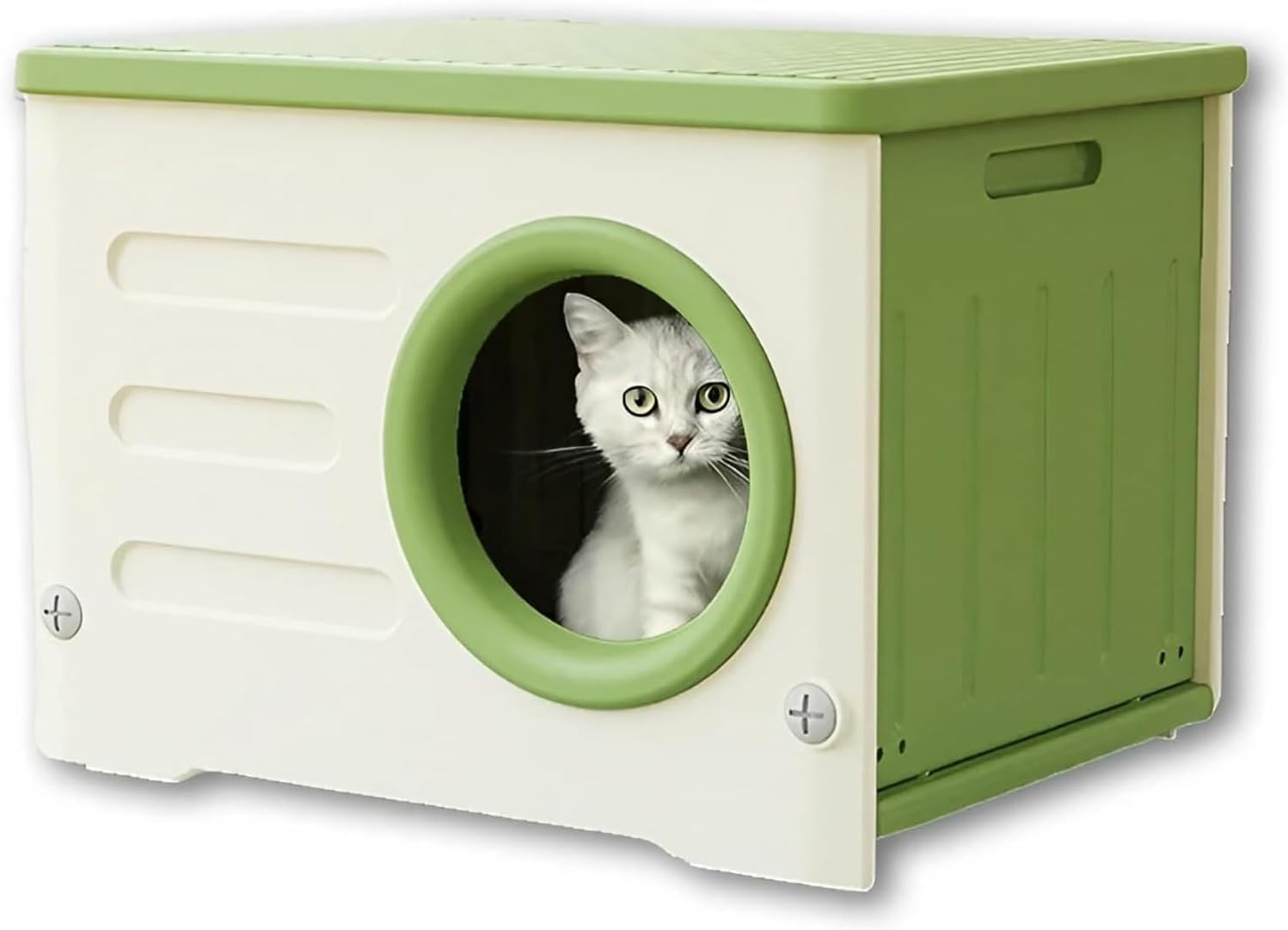 【裁断済】モルモット・チンチラ・デグーの医学 モルモット・チンチラ・デグーの医学 株式会社 緑書房