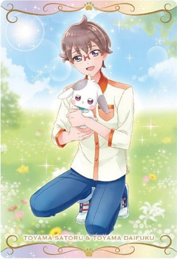 【お値下げ】わんぷり 兎山悟 カード類まとめ売り Amazon.co.jp: 【No.16 兎山悟＆兎山大福 (N ノーマル) 】プリキュア