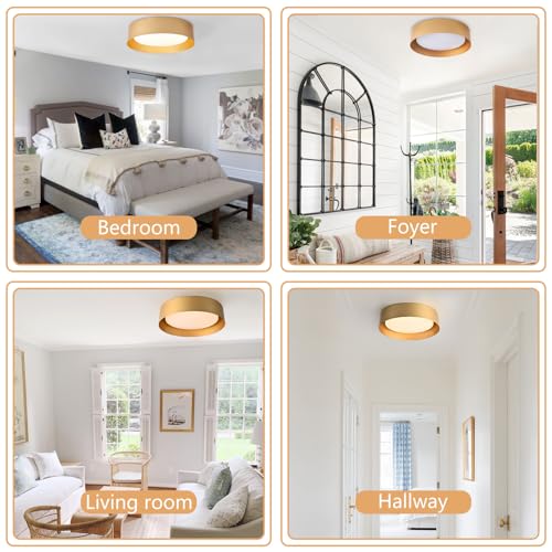 Image of Bargeni 16.5 inch Gold Flush Mount Ceiling Light, LED Ceiling Fixture