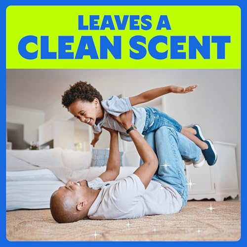 Image of Shout Carpet Set-In Stain Lifter Spray, Rug & Carpet Cleaner, Color Safe and Fast Acting Spot & Stain Remover, 22 oz Trigger Spray