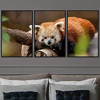 3 Piece Framed Canvas Wall Art Firefox Rustic Urban Canvas Prints Home Artwork Decoration for Living Room,Bedroom - 16