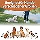 Retrieverleine mit Zugstopp, 180 cm Hundeleine mit Halsband, Witterungsbeständig Leine Hund Einstellbar Trainingsleine für Kleine bis Große Hunde