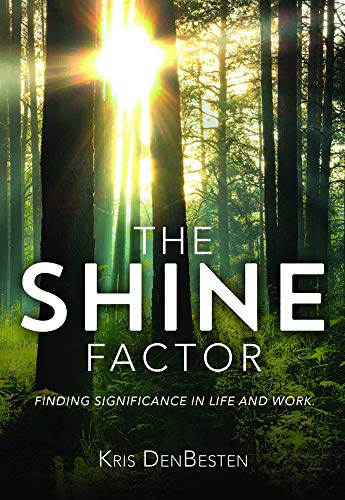 The Shine Factor view 2