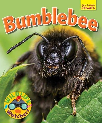 Wildlife Watchers: Bumblebee (Ruby Tuesday Readers)
