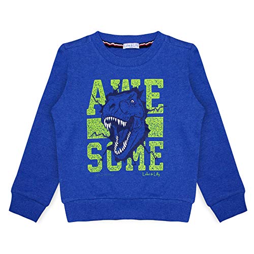 Image of Luke and Lilly Boys Fleece Fullsleeve Printed Sweatshirt