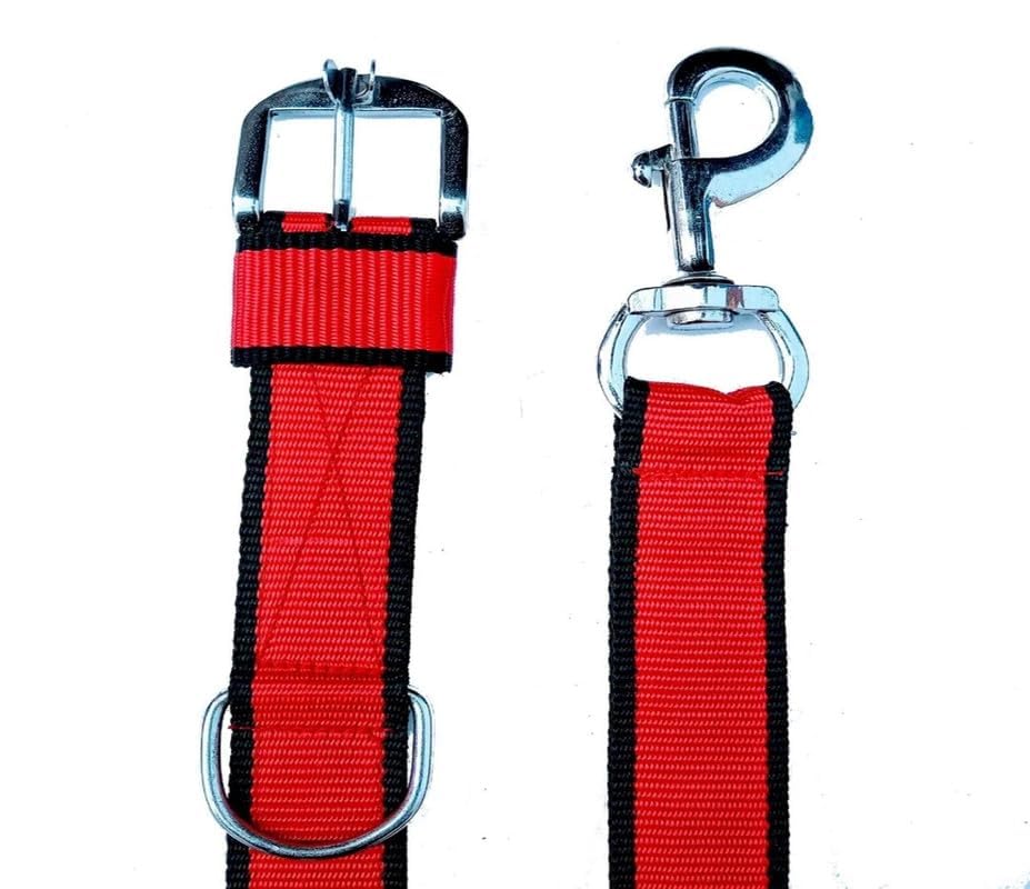 Image of THE BON BON Premium 5ft Dog Leash and Collar Set for Large Dogs | Heavy Duty Nylon with Reflective Stitching, Padded Handle, Adjustable Collar | Ideal for Walking and Training (Red, Large)