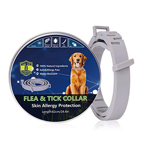 L  m~ m~ _j \h 悯 ybg VR R E a΍ Q쏜 Lp  VR A} h 8 ی25"߉\ȖhJ[ybgpi XL,62cm (for dogs)