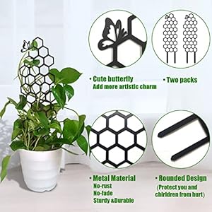 2 Pack Small Trellis for Potted Plants, 16.5'' Metal Plants Trellis for Climbing Plants, Honeycomb Shape Garden Plant Pot Trellis for Indoor Houseplants, Vines, Pothos, Hoyas (Black) 2 Pack Small Trellis for Potted Plants 165 Metal Plants Trellis for Climbing Plants Honeycomb Shape Garden Plant Pot Trellis for Indoor Houseplants Vines Pothos Hoyas Black